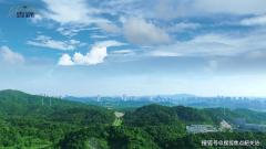 才能确保消息实正在、价钱通明、权益