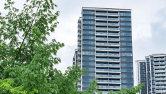 更是圈层之上的城